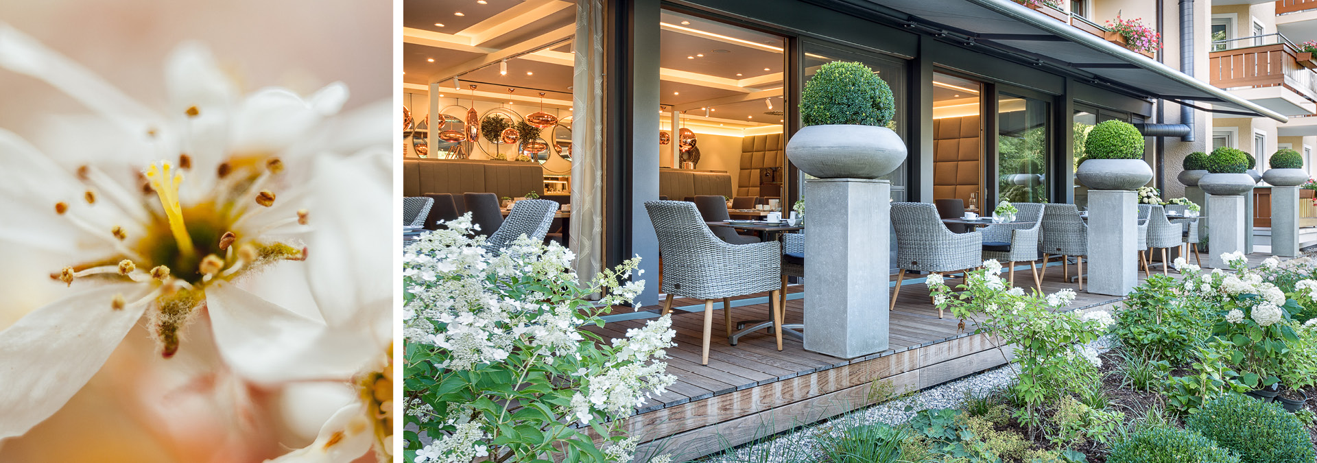 Angebote und Pauschalen Angebote und Pauschalen