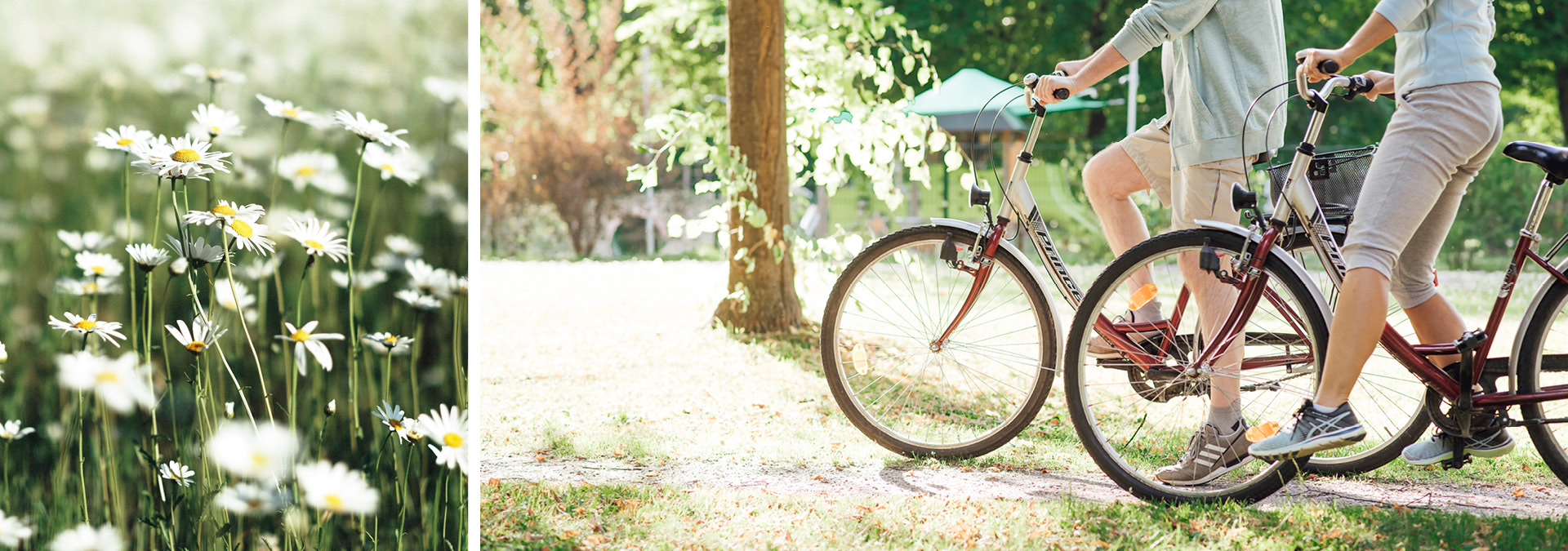 Radfahren, Wandern, Bad Füssing Radfahren, Wandern, Bad Füssing