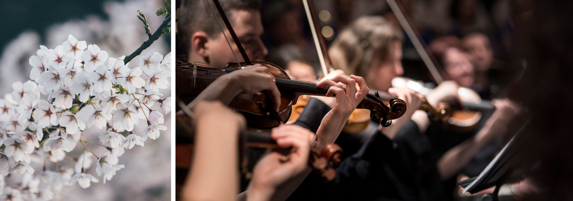 Bad Füssing Veranstaltungen Bad Füssing Veranstaltungen